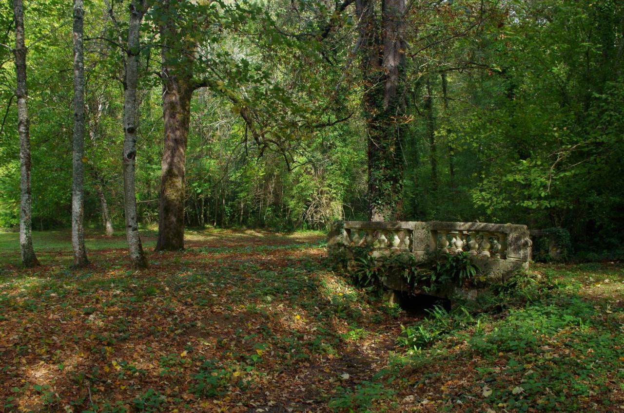 Chateau D'Argentonesse Castels Εξωτερικό φωτογραφία